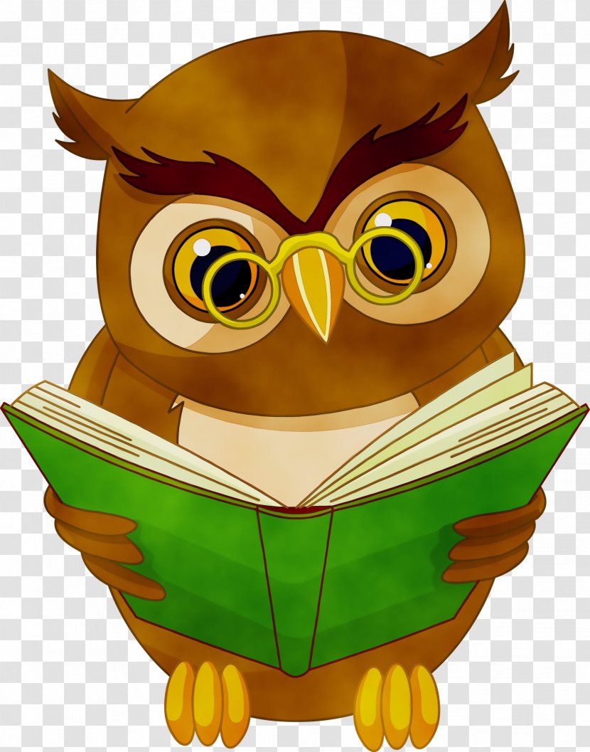 Book Watercolor - Bird Of Prey - Eastern Screech Owl Yellow Transparent PNG