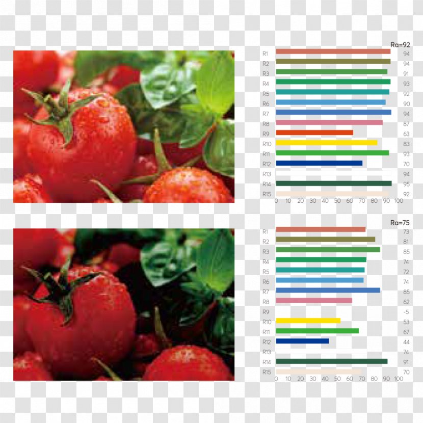 Color Rendering Index Light-emitting Diode Food Industry - Treatment Of Cancer Transparent PNG