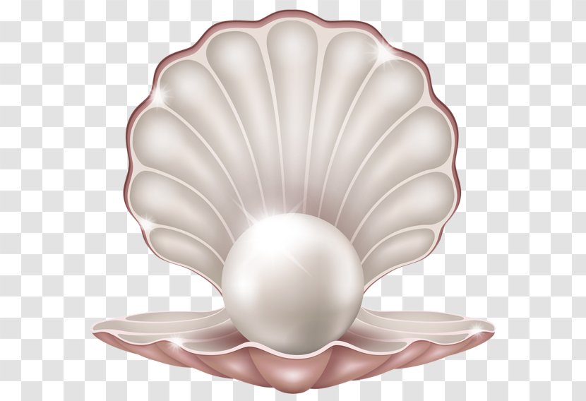 Pearl Jewellery Icon - Hunting Transparent PNG