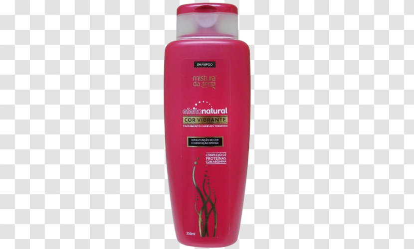 Lojas Americanas Price Proposal Hair Care - Shampoo - Vibrant Transparent PNG