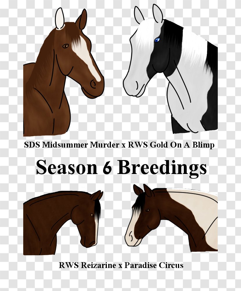 Mustang Stallion Halter Pack Animal Rein Transparent PNG