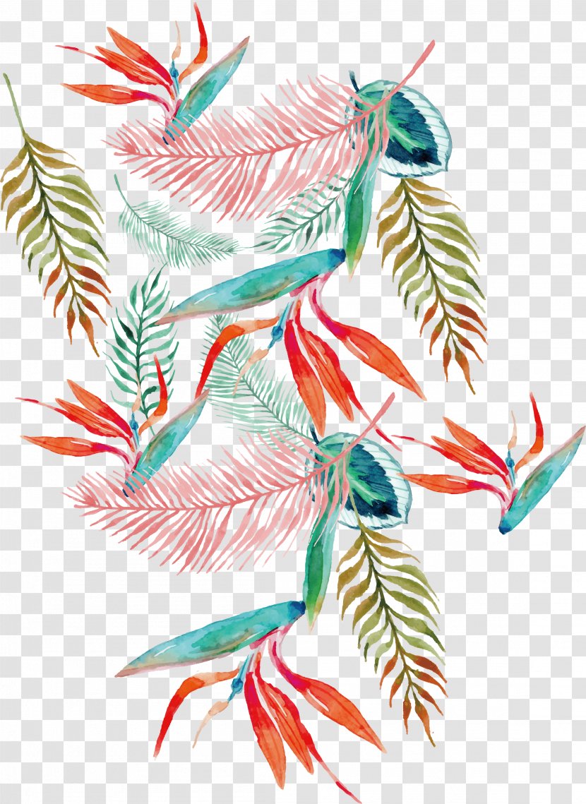 Illustration - Wing - Watercolor Summer Pattern Transparent PNG