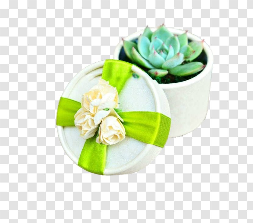 Wedding Succulent Plant Flower Marriage - Mini Fleshy Transparent PNG
