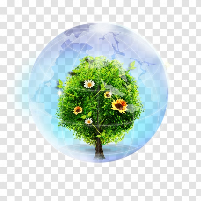 Earth Ecology Plant - Environmental Transparent PNG