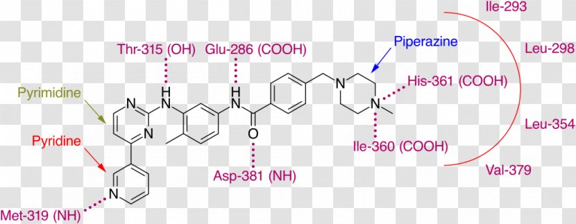 Imatinib Bcr-Abl Tyrosine-kinase Inhibitor - Flower - Cartoon Transparent PNG