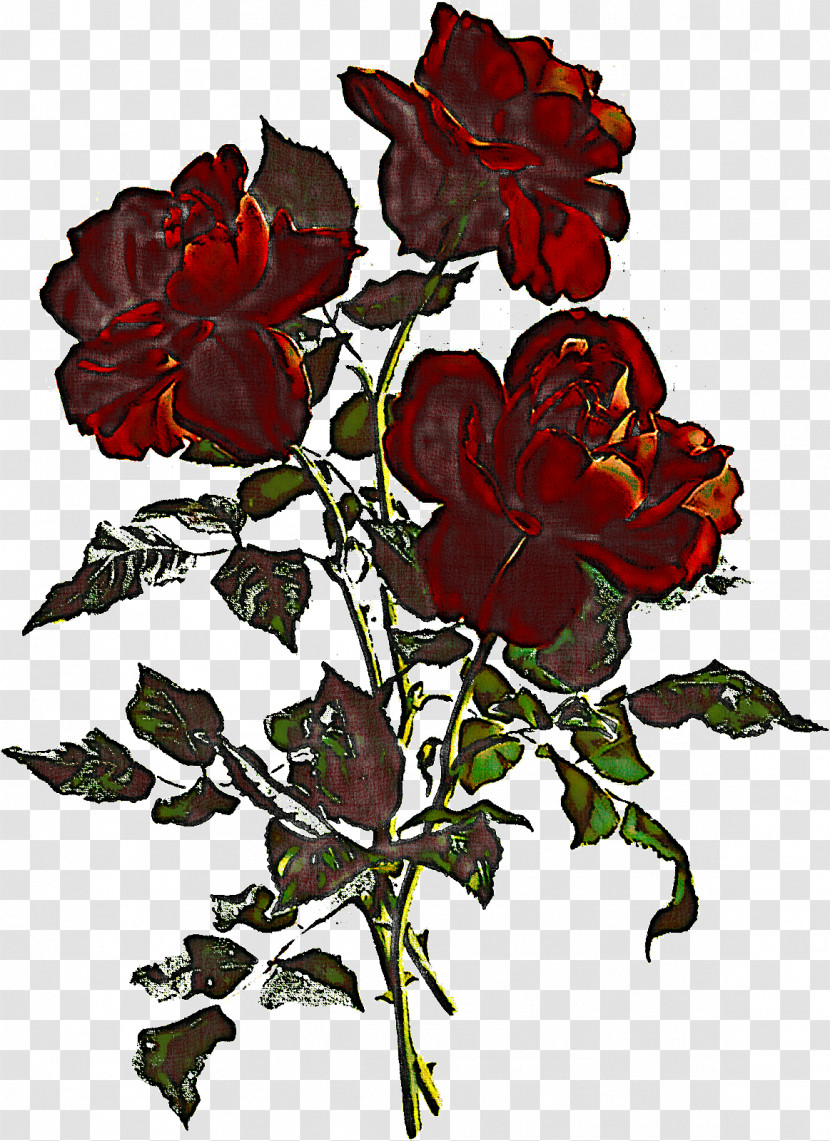 Three Flowers Three Roses Stem Transparent PNG
