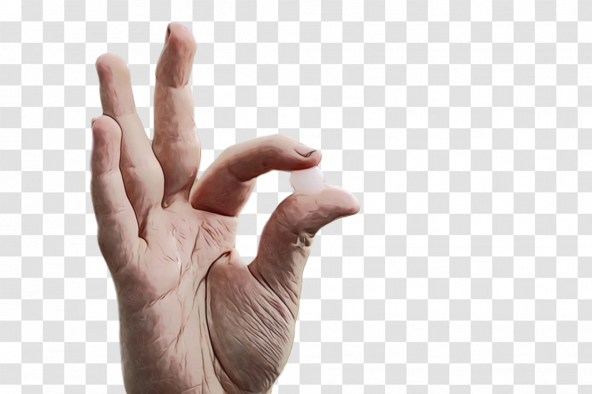 Hand Model Hand Transparent PNG