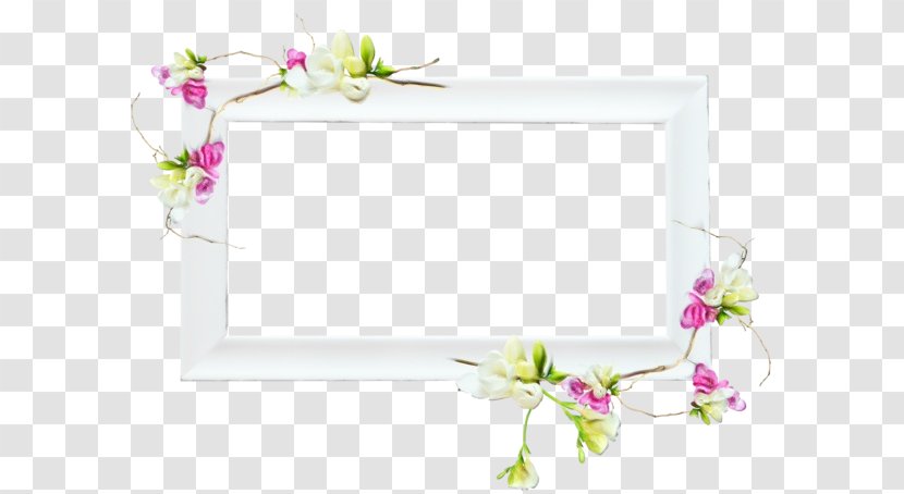 Background Watercolor Frame - Blossom - Plant Rectangle Transparent PNG