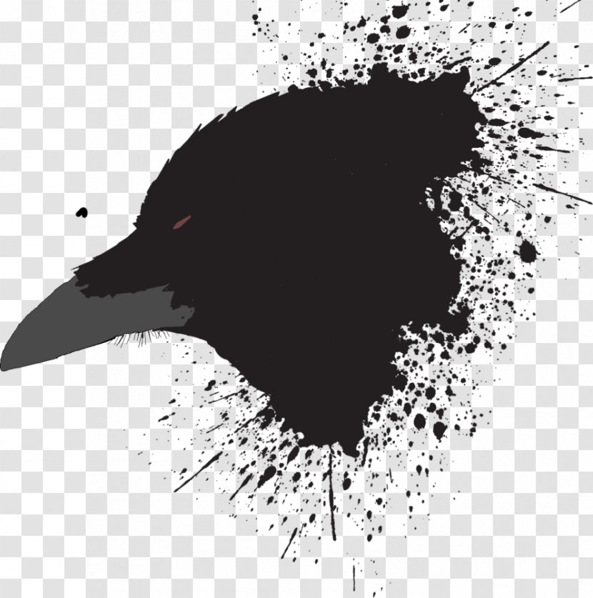 Black And White Beak Graphics Video Image - Bird - Crow Zero Transparent PNG