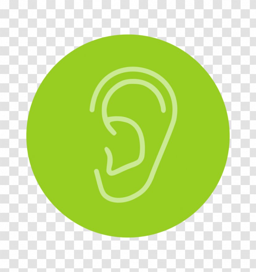 Hearing Auditory System Oreille Humaine - Green - Ear Transparent PNG
