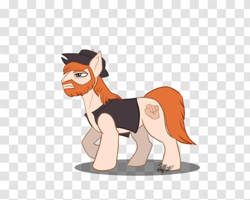 My Little Pony: Friendship Is Magic Fandom Horse Unicorn - Cat Like Mammal Transparent PNG