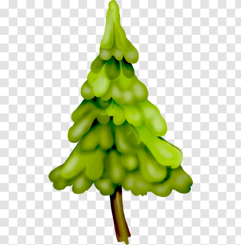 Spruce Christmas Ornament Vegetable Tree Fir - Conifer Transparent PNG