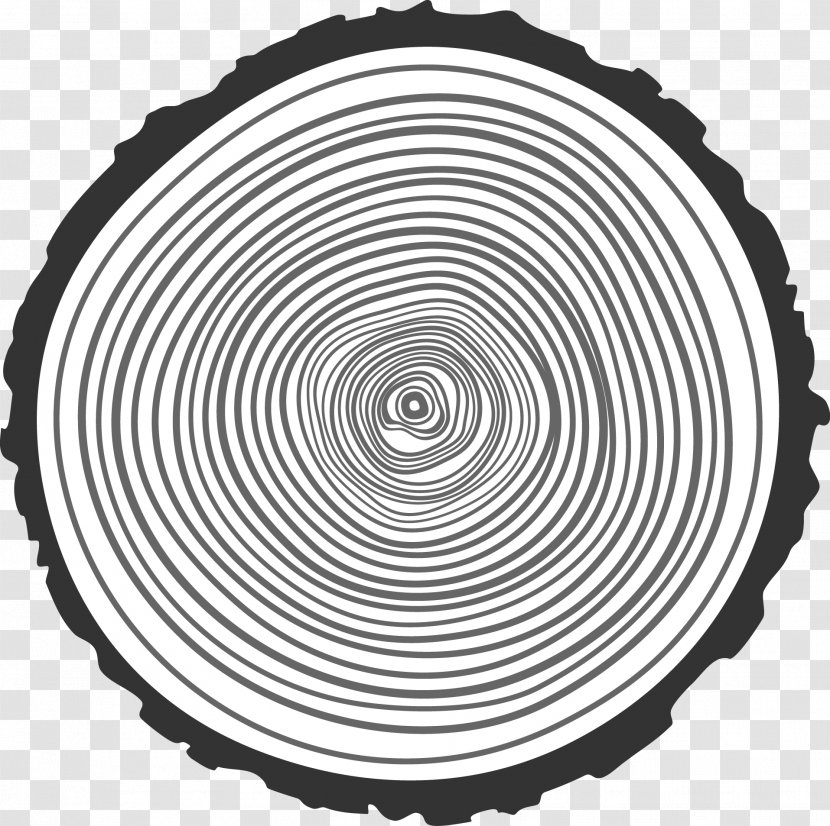 Tree Aastarxf5ngad Wood Illustration - Monochrome Photography - Hand Drawn Ring Vector Transparent PNG