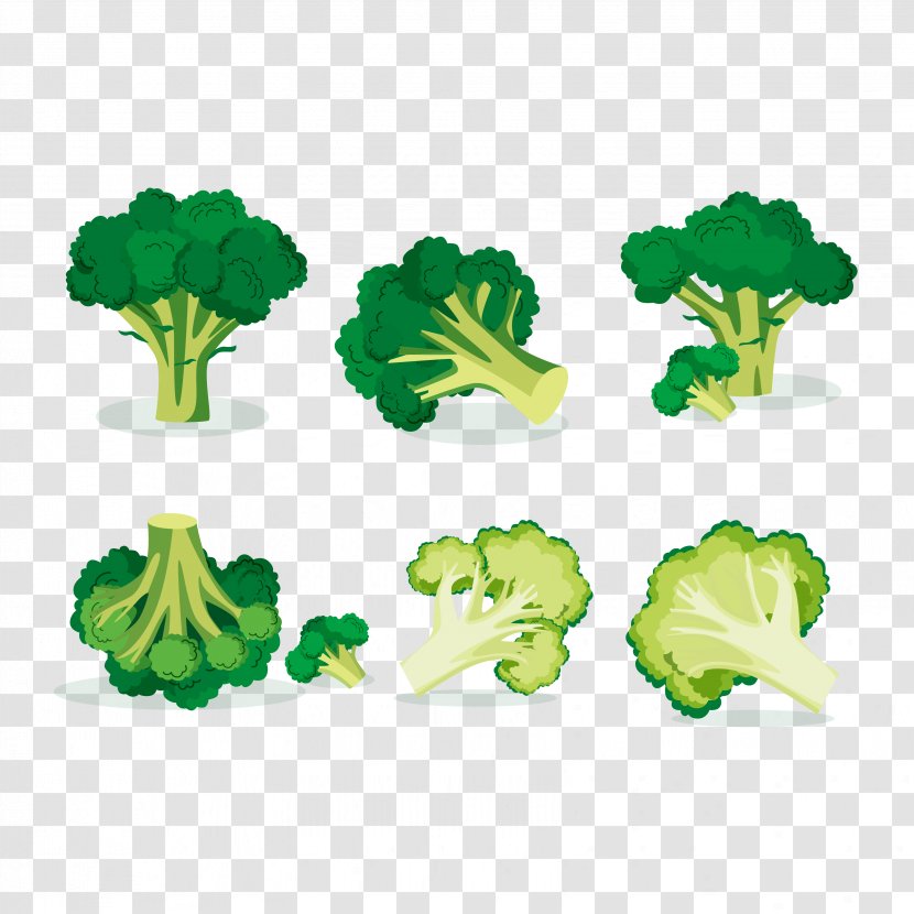 Broccoli Vegetable Euclidean Vector Illustration - Vegetables Cut Transparent PNG