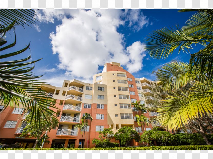 Condominium Property Resort Arecaceae Hotel - Palm Tree Transparent PNG