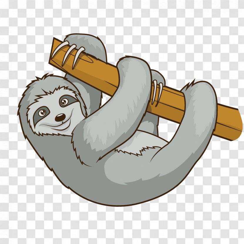 Sloth Cartoon Stock Illustration Royalty-free - Photography - Cute Koala Transparent PNG