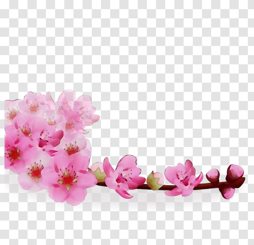 Cherry Blossom - Fashion Accessory Cut Flowers Transparent PNG