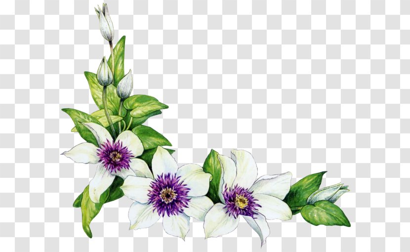 Flower Clip Art - White - Passion Transparent PNG