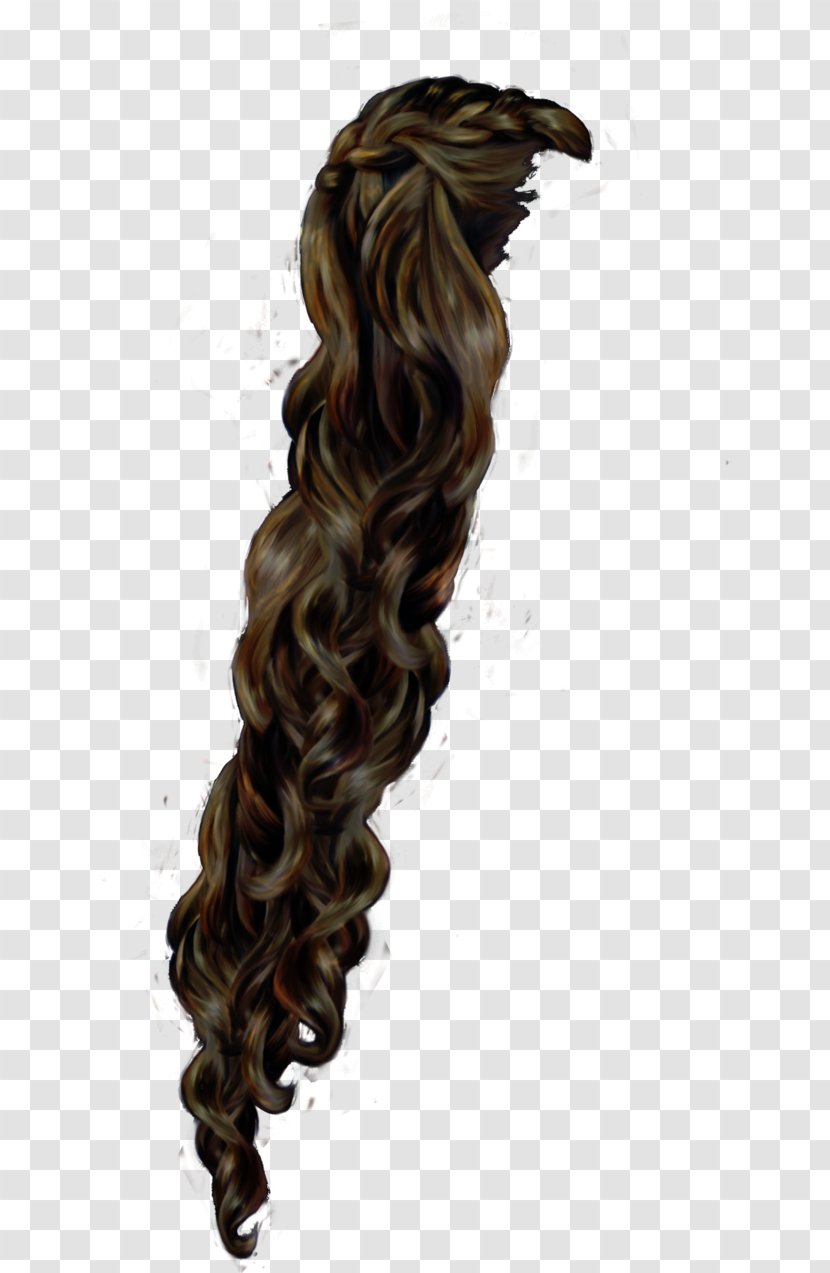 Long Hair Coloring Brown - Wig Transparent PNG