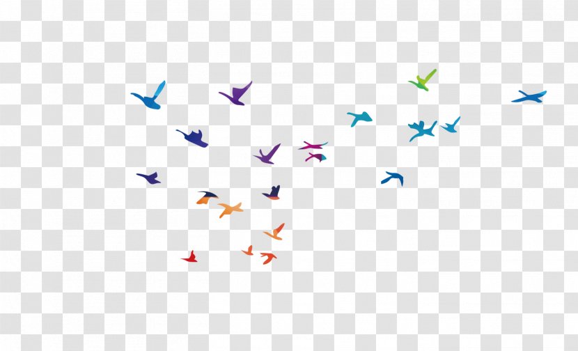 Bird Flight Common Gull - Symmetry - Simple Flying Transparent PNG