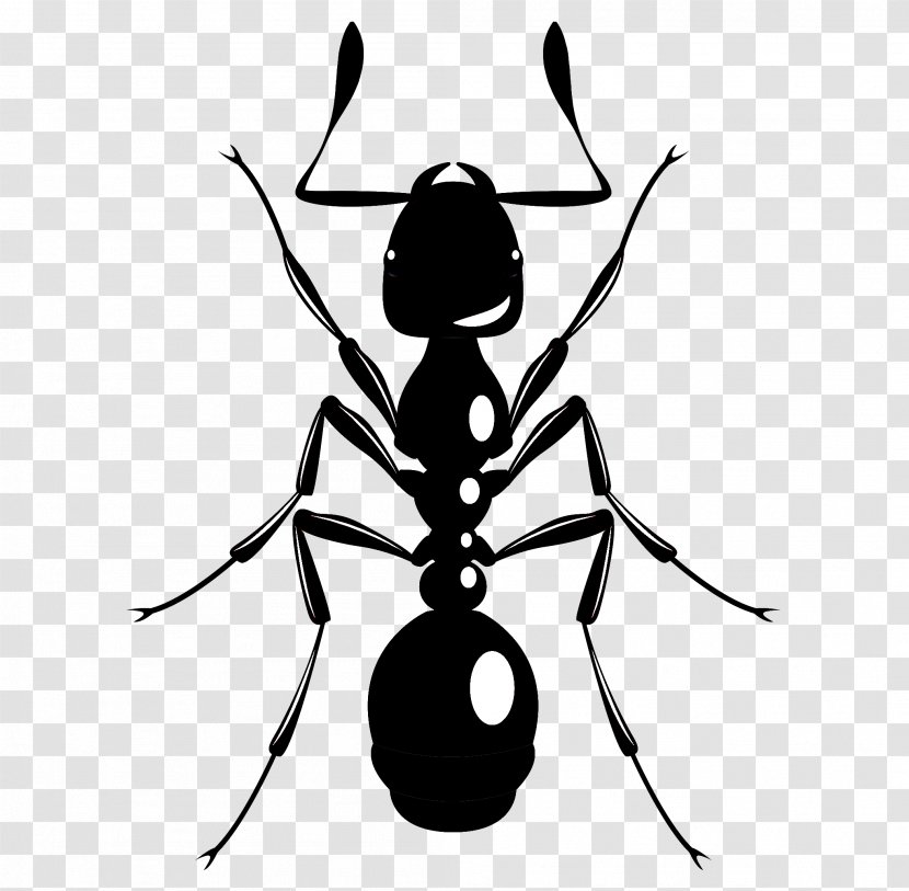 Insect Pest Ant Membrane-winged Clip Art - Membranewinged Transparent PNG