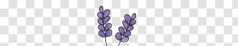 Purple - Lavender Transparent PNG