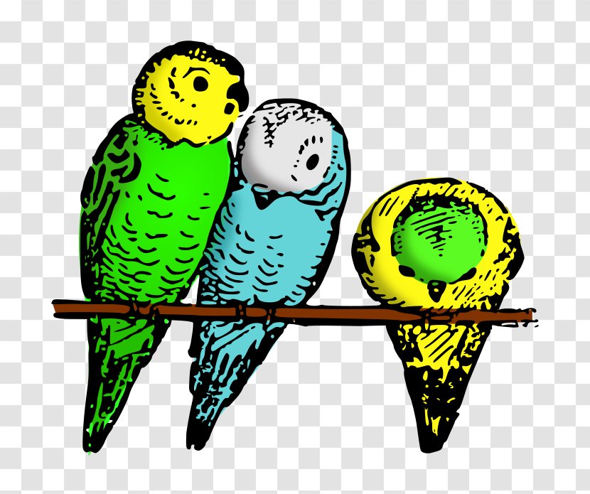 Budgerigar Bird Cockatiel Parakeet Clip Art - Common Pet Transparent PNG