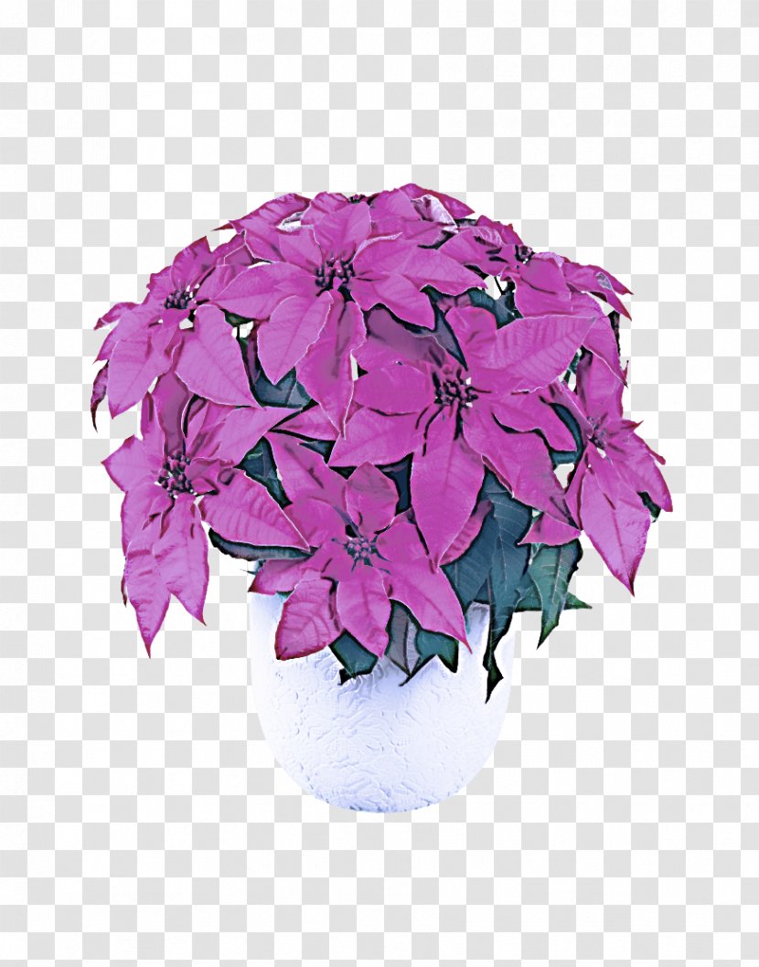 Flower Plant Purple Violet Pink - Flowering - Magenta Impatiens Transparent PNG