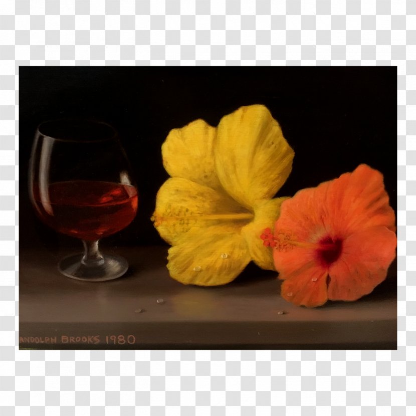 Still Life Photography Petal 20th Century - Rosemallows - Women Transparent PNG