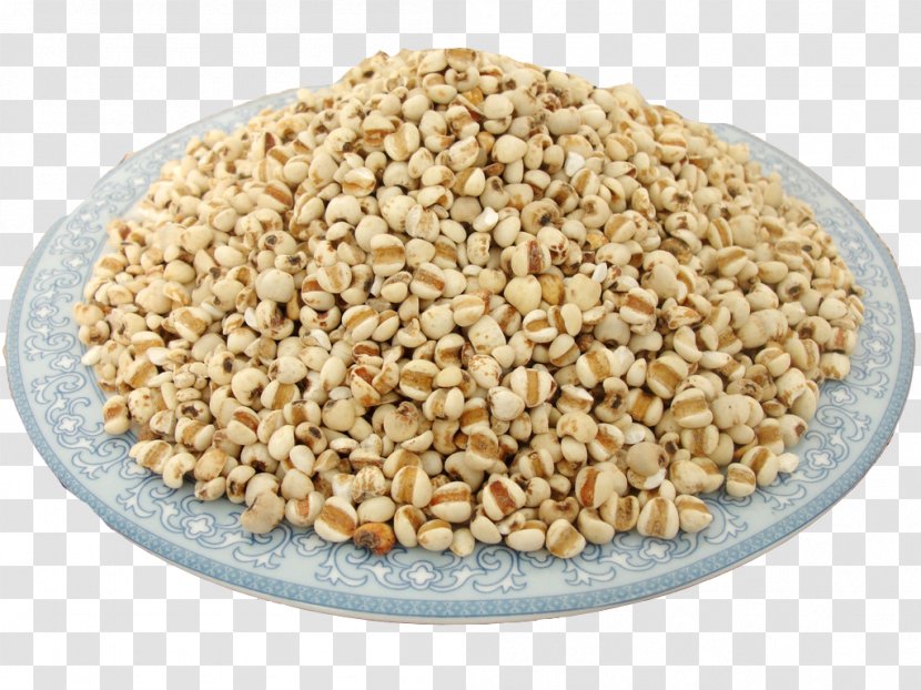 Adlay Cereal Barley Food Wheat - Coix Lacrymajobi - A Transparent PNG