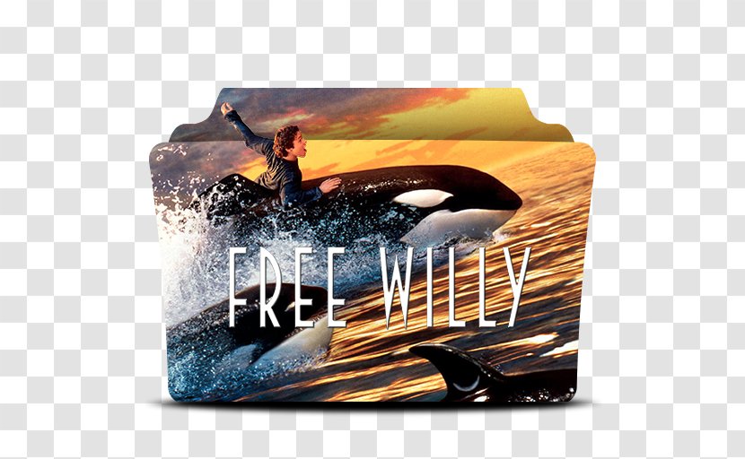 Free Willy Adventure Film YouTube Killer Whale Transparent PNG
