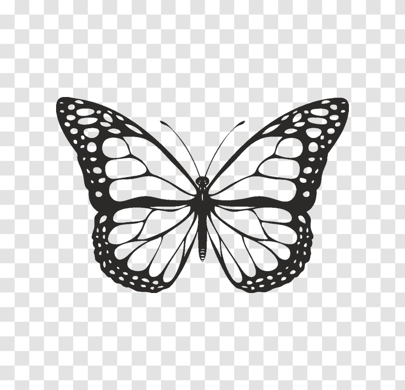 Butterfly Black And White Clip Art - Pollinator Transparent PNG