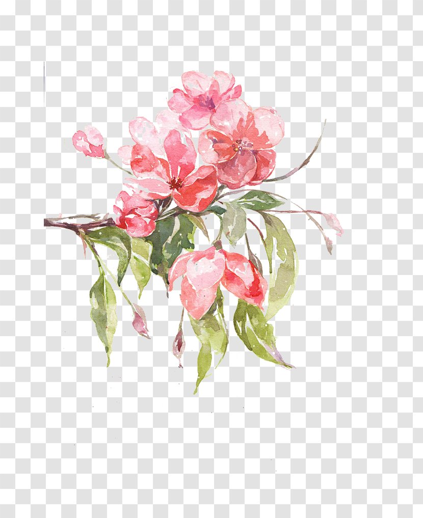 Floral Design Malus Halliana Illustration - Cut Flowers - Pink Peach Transparent PNG