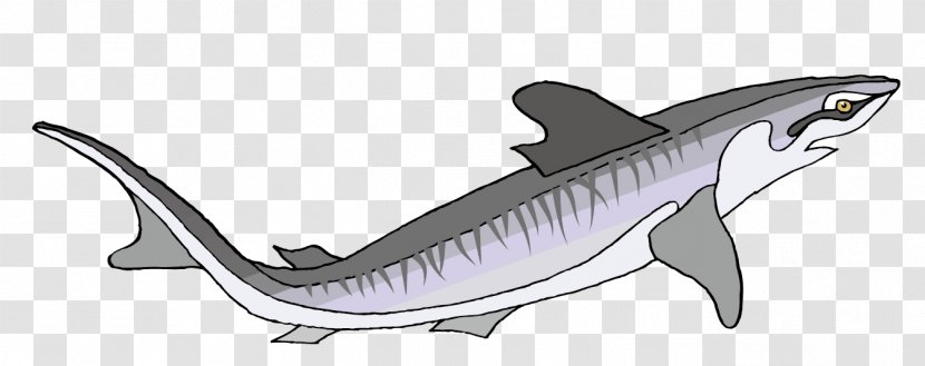 Tiger Shark - Whales Dolphins And Porpoises - Vector Sharks Material Transparent PNG