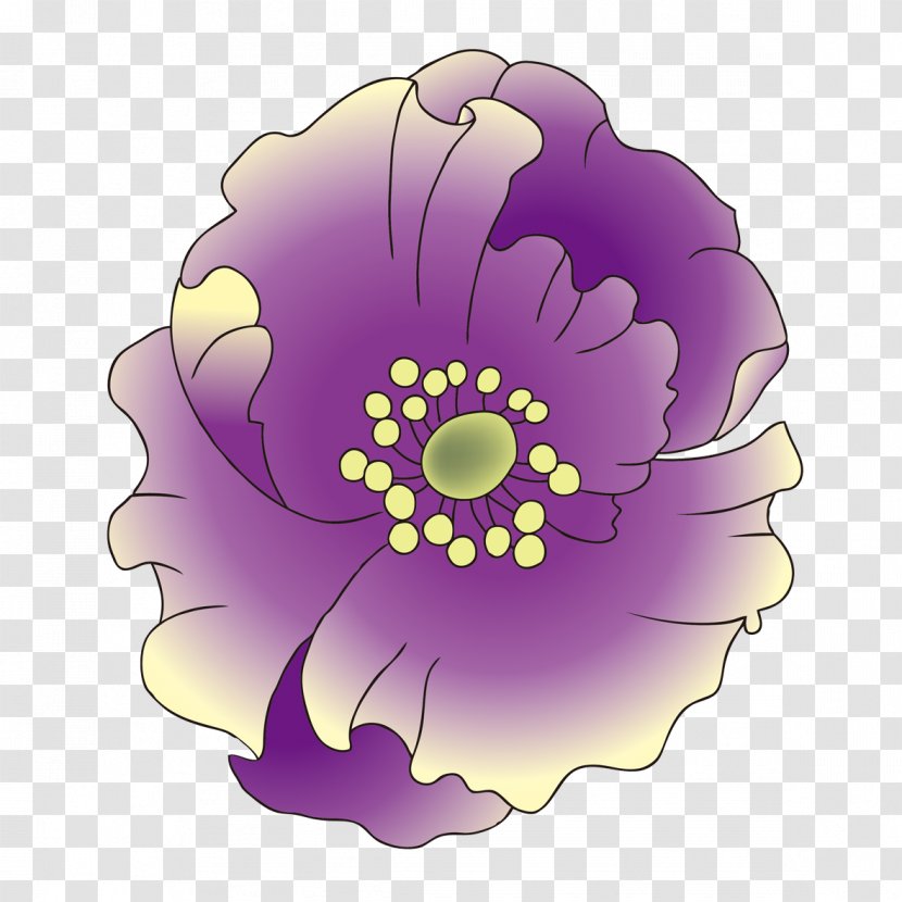Drawing Woman Illustration - Flower - Purple Lotus In Full Bloom Transparent PNG