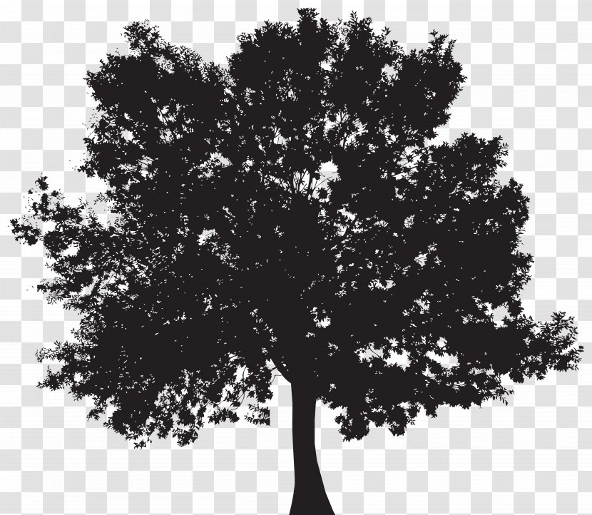 Silhouette Tree Clip Art - Woody Plant Transparent PNG