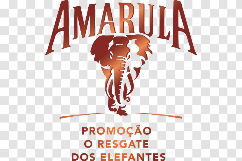 Amarula Liquor Liqueur Cocktail - Wine Transparent PNG