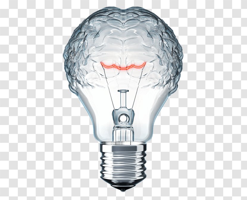 Management Organization Neuroscience Industry Marketing - Flower - Light Bulb Brain Transparent PNG