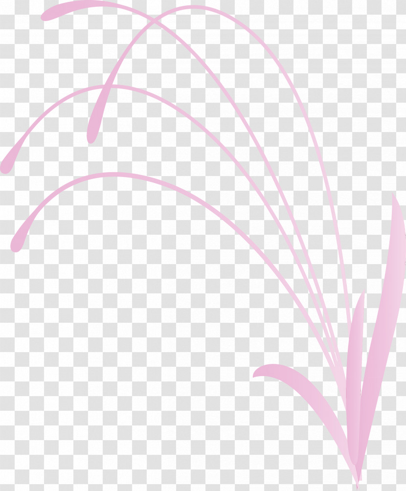 Pink Line Leaf Material Property Plant Transparent PNG