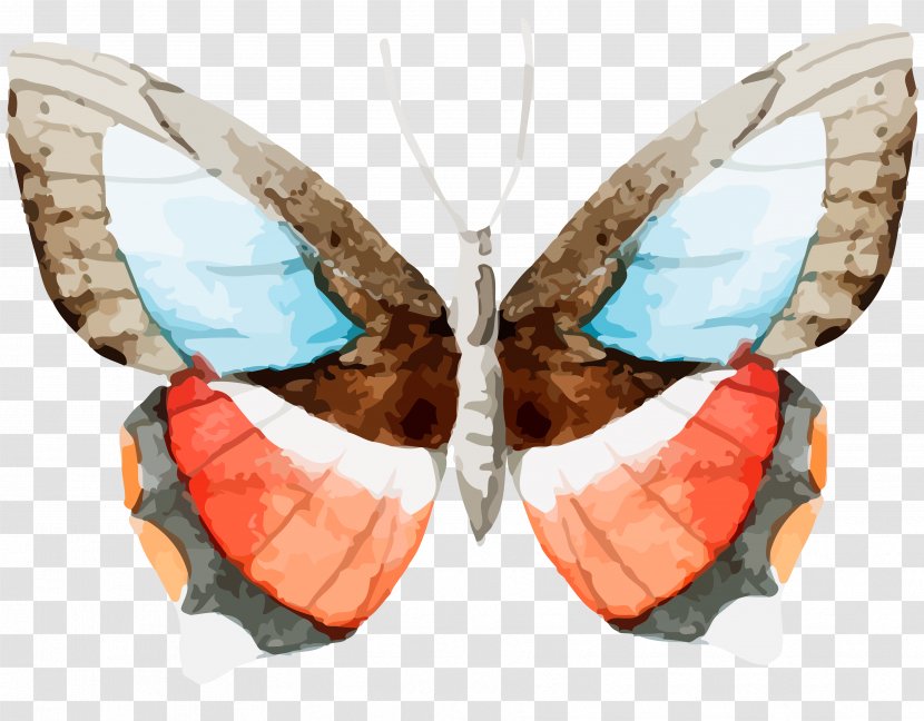 Butterfly Watercolor Painting Clip Art - Moth Transparent PNG