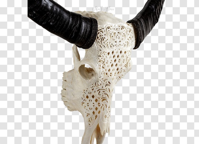 Skull Human Skeleton Horn Art - Flower Transparent PNG