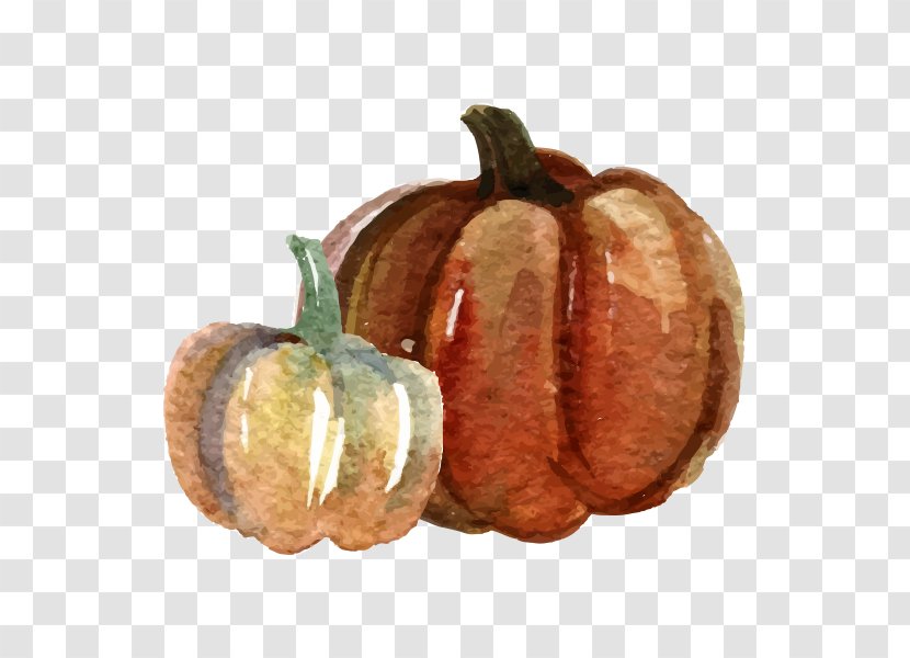 Pumpkin Watercolor Painting - Thanksgiving - Hand Painted Transparent PNG