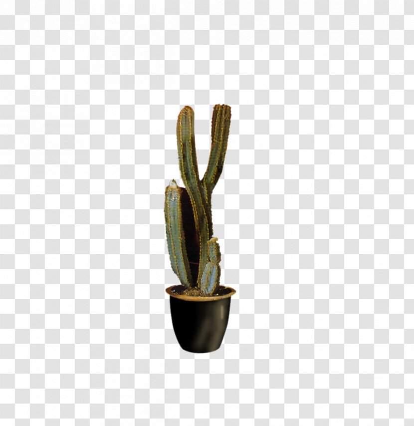 Plant Cactaceae Euclidean Vector - Prickly Pear - Potted Cactus Transparent PNG