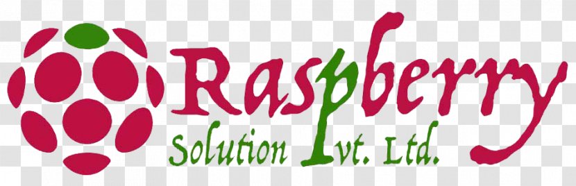 Management Consulting Organization Firm Consultant - Recruitment - Raspberry Logo Transparent PNG