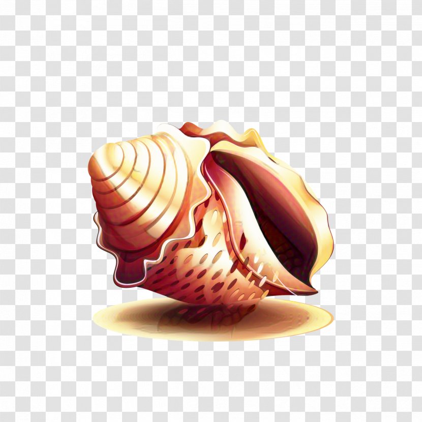 Snail Cartoon - Cockle - Jewellery Natural Material Transparent PNG