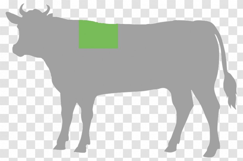 Cattle Cut Of Beef Steak Food - Dairy Cow - Dried Transparent PNG