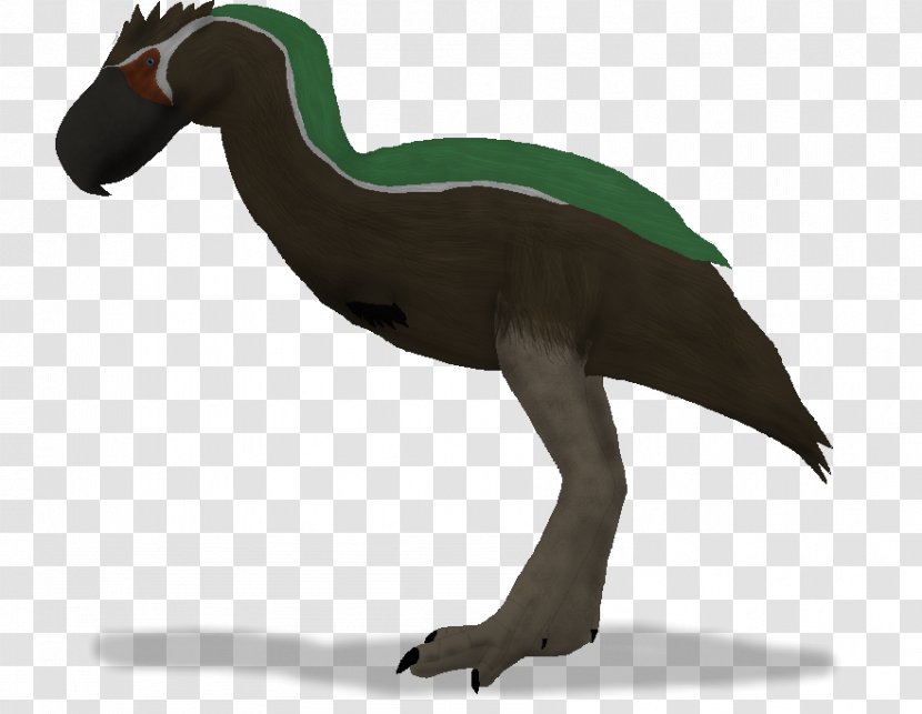 Anatidae Velociraptor Goose Cygnini Duck - One Thousand Two Hundred And Twelve Transparent PNG