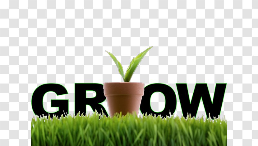 Company Sales Electronic Business Small Marketing - Grow Food Transparent PNG