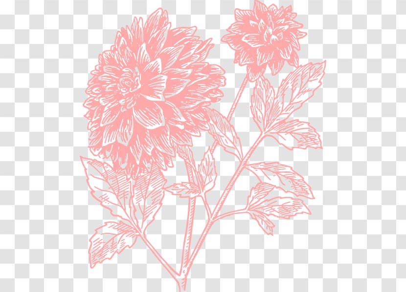 Floral Design Flower JD NAIL SPA & SALON Dahlia Clip Art - Rose - Large Cliparts Transparent PNG