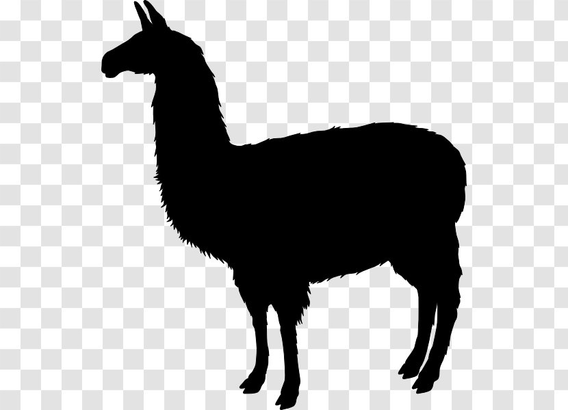 T-shirt Llama Clip Art - Alpaca - Terrestrial Animal Transparent PNG